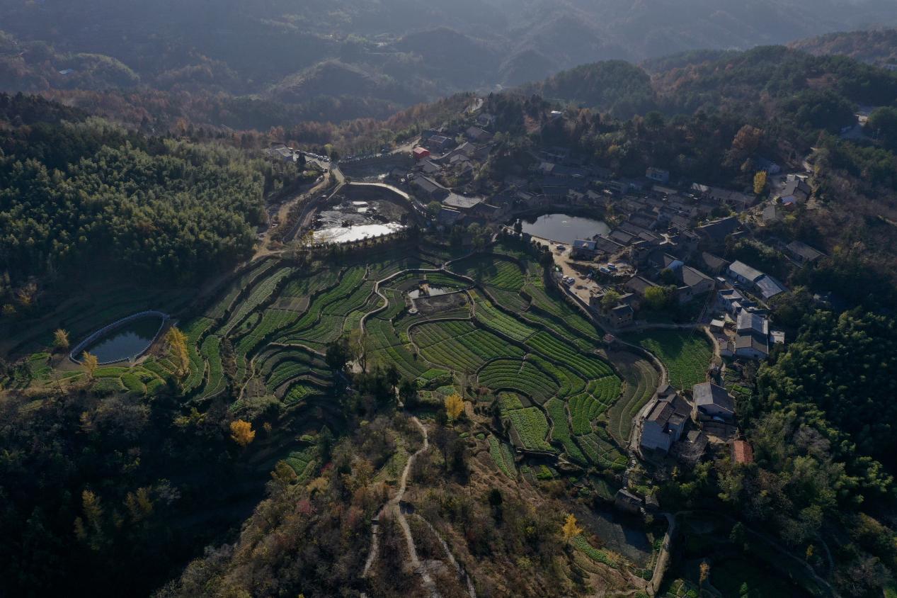 配图版:黄冈师院支农摄影队用镜头助力乡村振兴(1).docx